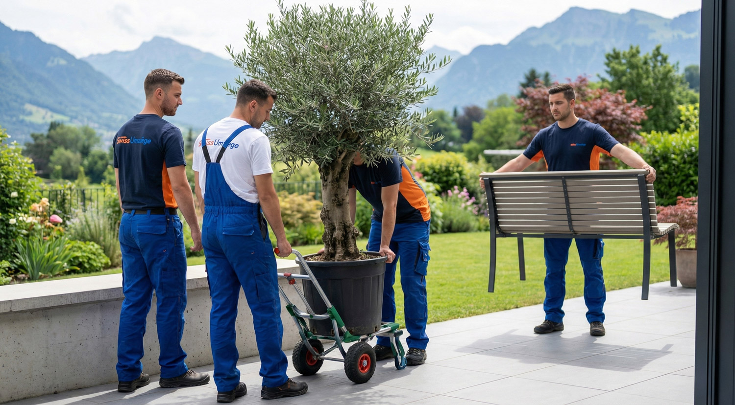 Zügelunternehmen Adliswil